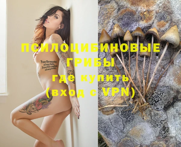 прущие крисы Баксан