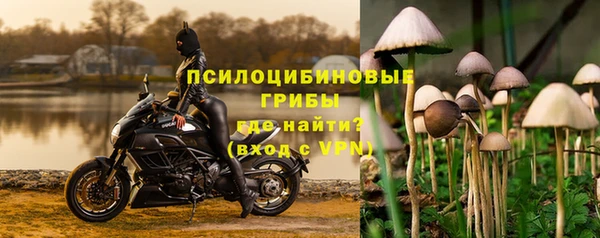 jwh Аркадак